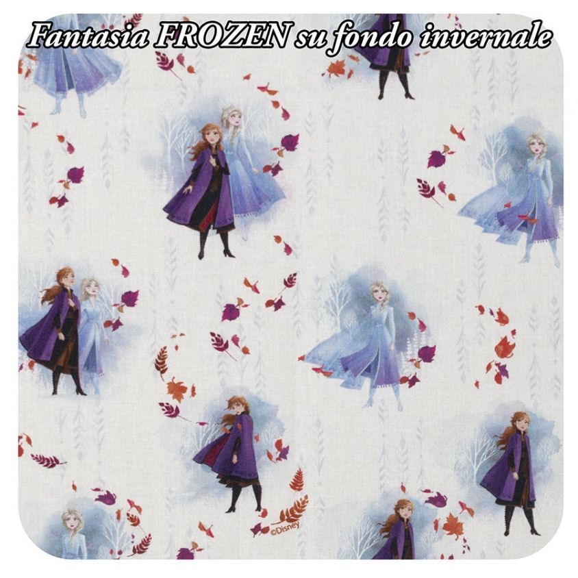 Fantasia Frozen su fondo invernale